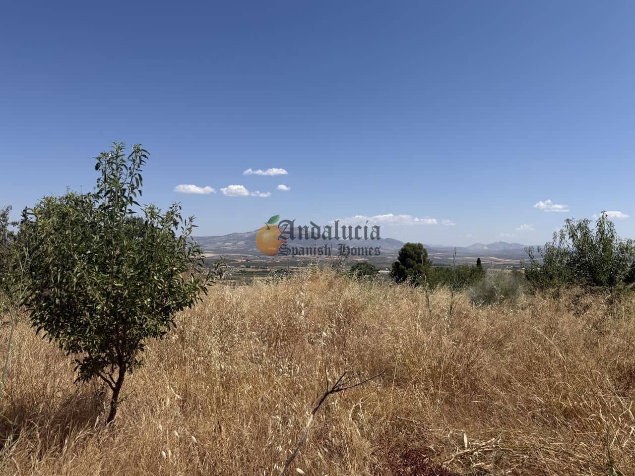 3 soveværelse Finca/Landehus til salg i Moraleda de Zafayona - € 52.000 (Ref: 9941171)