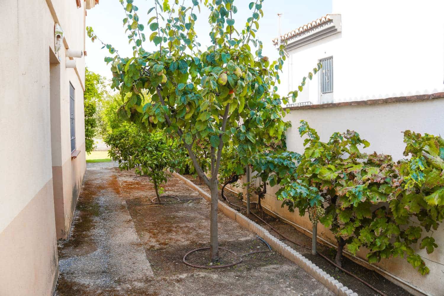 5 soverom Villa til salgs i Cullar Vega med svømmebasseng garasje - € 389 000 (Ref: 10139074)