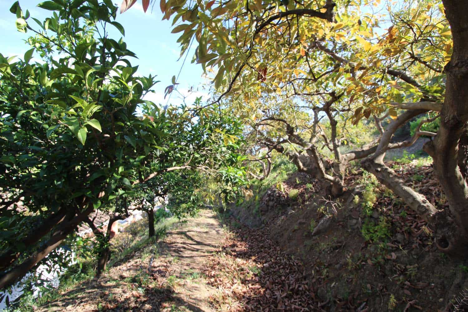 3 soveværelse Finca/Landehus til salg i Torrox med garage - € 295.000 (Ref: 8347701)