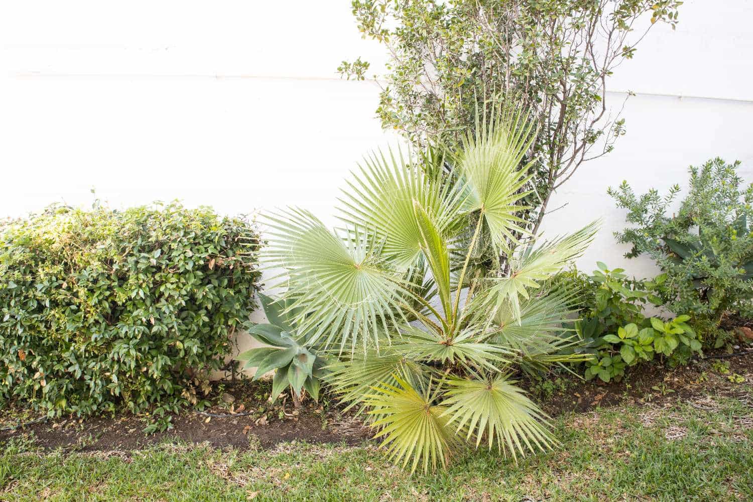 3 soveværelse Villa til salg i Maro med swimmingpool - € 599.000 (Ref: 9042045)