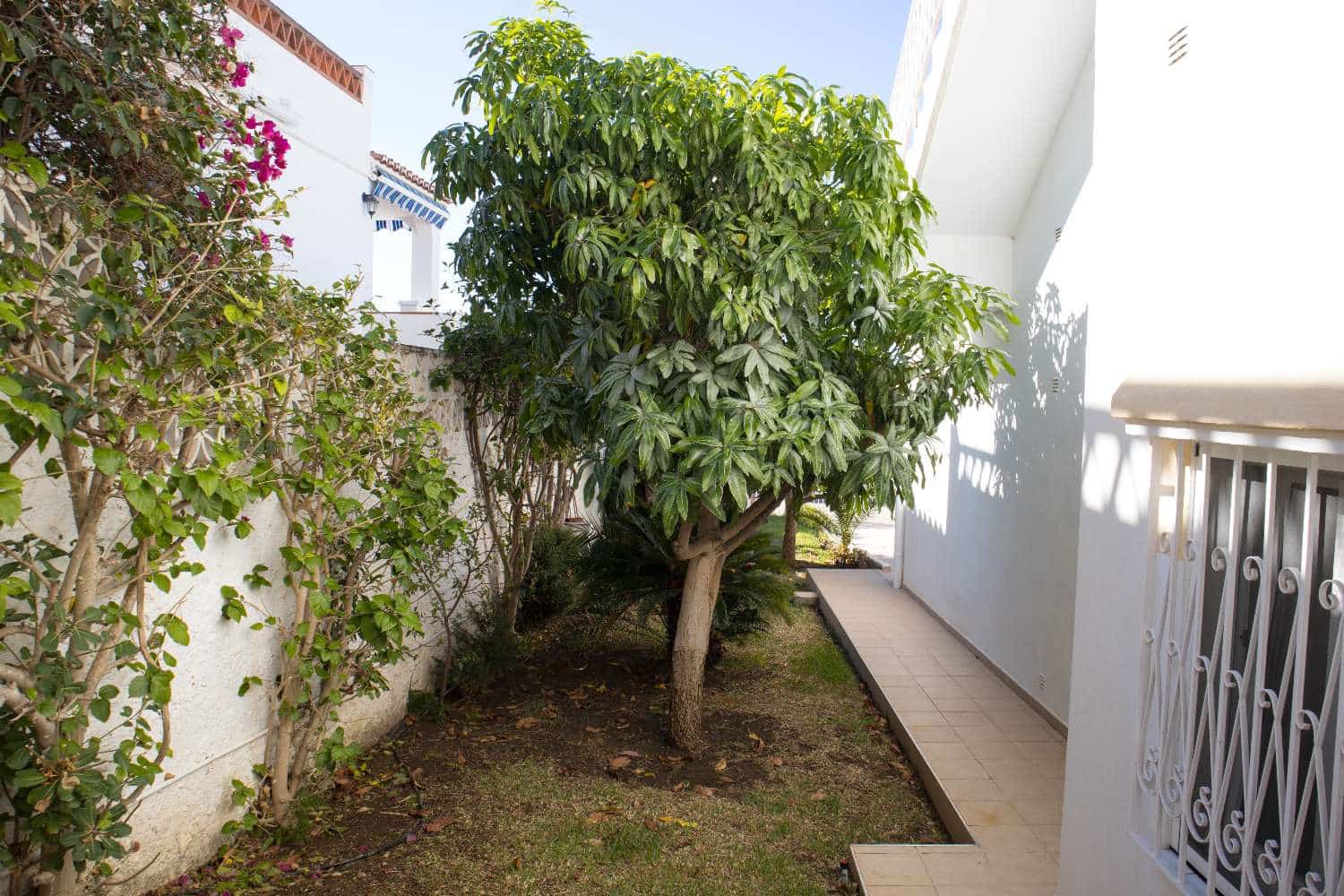 3 soveværelse Villa til salg i Maro med swimmingpool - € 599.000 (Ref: 9042045)