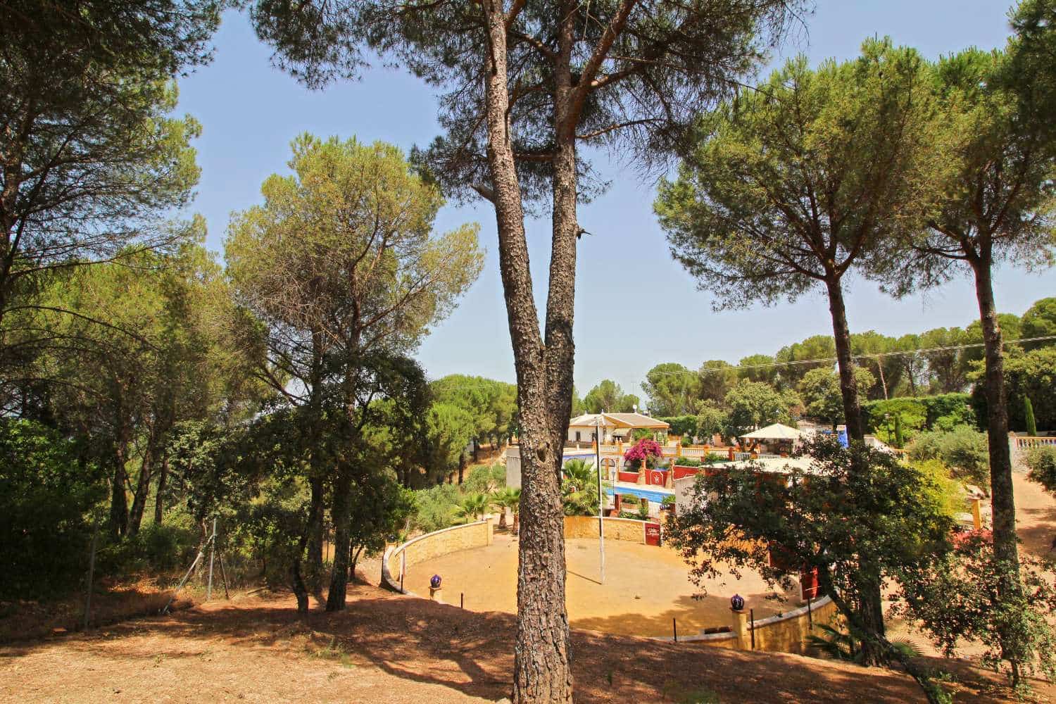 3 soveværelse Finca/Landehus til salg i Andujar med swimmingpool - € 329.000 (Ref: 9526056)