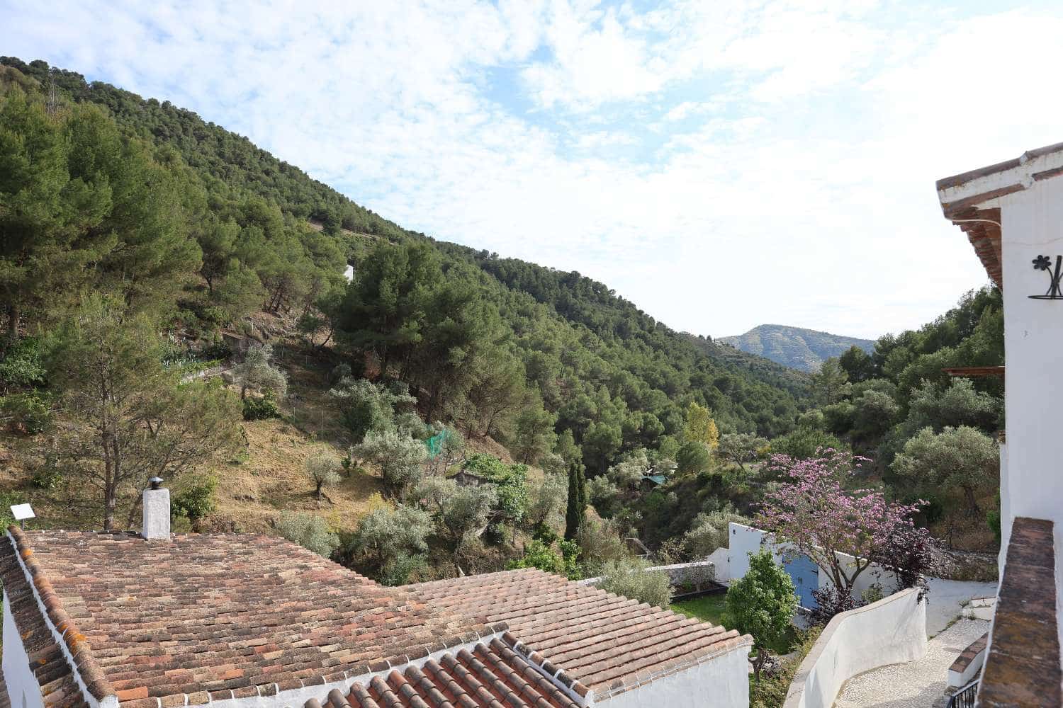 4 Zimmer Finca/Landgut zu verkaufen in Competa - 289.000 € (Ref: 9906815)