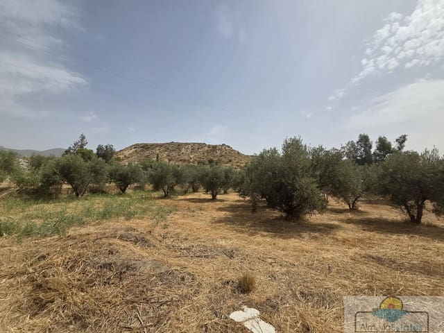 2 bedroom Townhouse for sale in Olula del Río - € 69,000 (Ref: 10014825)