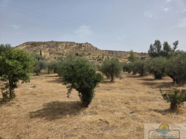 2 bedroom Townhouse for sale in Olula del Río - € 69,000 (Ref: 10014825)