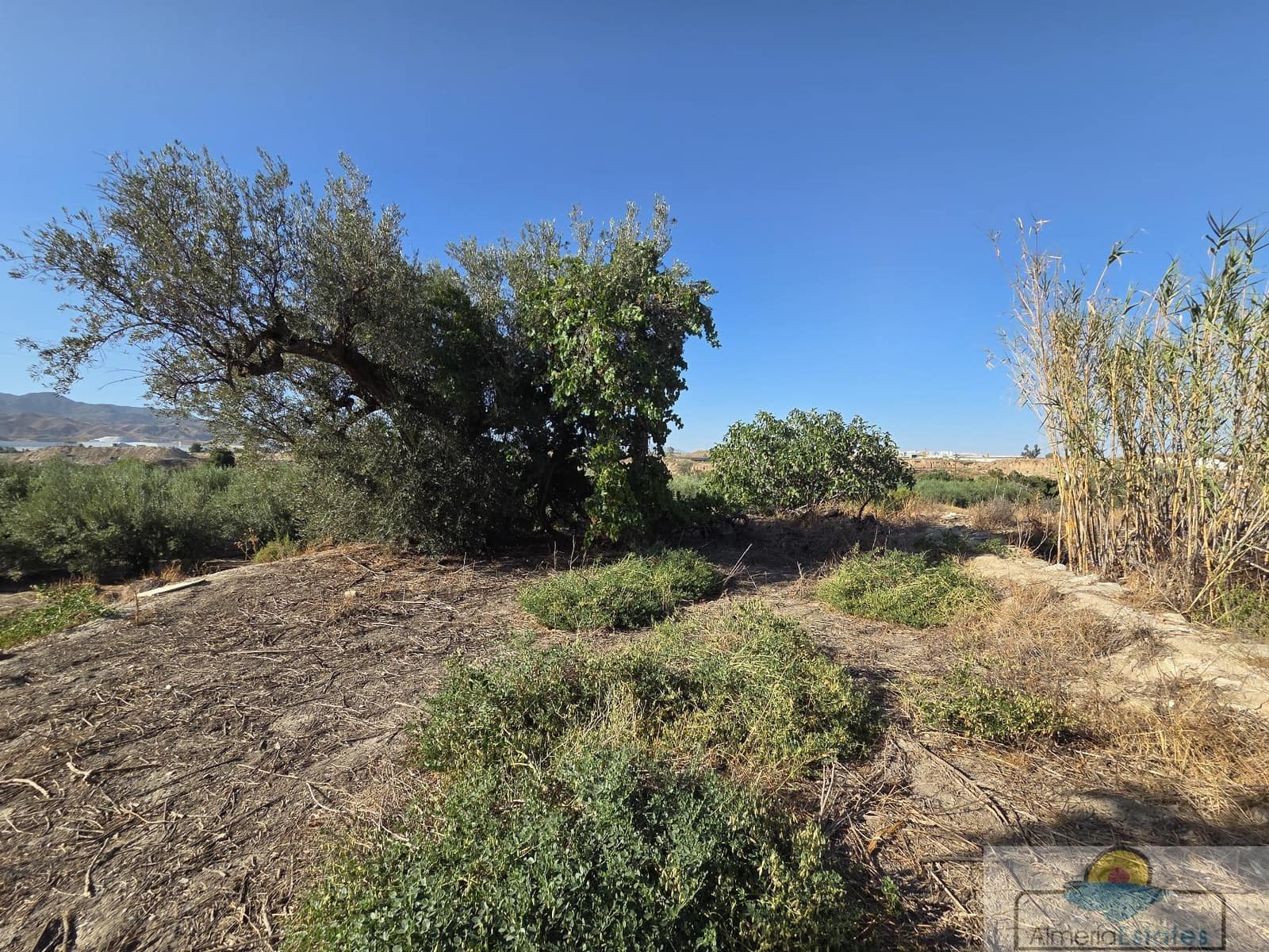Townhouse for sale in Cantoria - € 68,000 (Ref: 10016813)