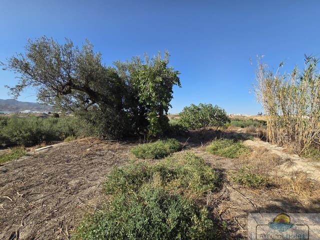 Casa in vendita in Cantoria - 68.000 € (Rif: 10016813)
