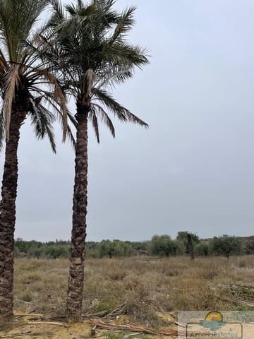 Terreno para Construção para venda em Huércal-Overa - 42 000 € (Ref: 10124529)