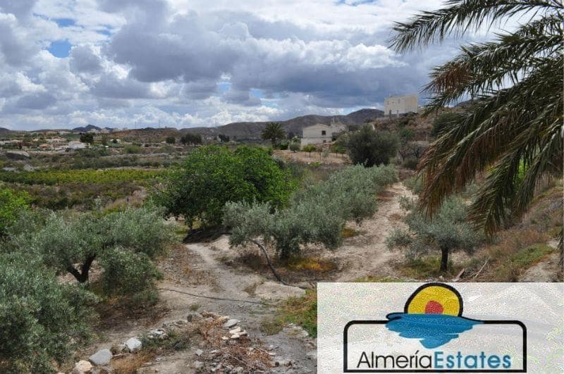 3 bedroom Villa for sale in Cantoria - € 300,000 (Ref: 3211657)