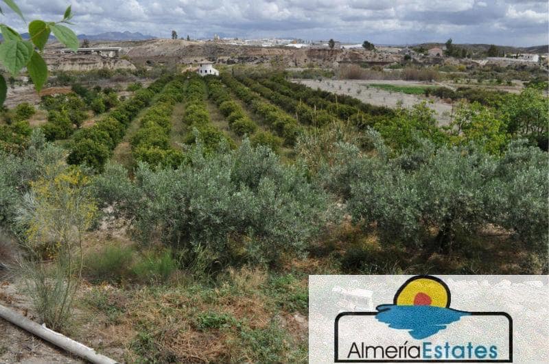 3 bedroom Villa for sale in Cantoria - € 300,000 (Ref: 3211657)