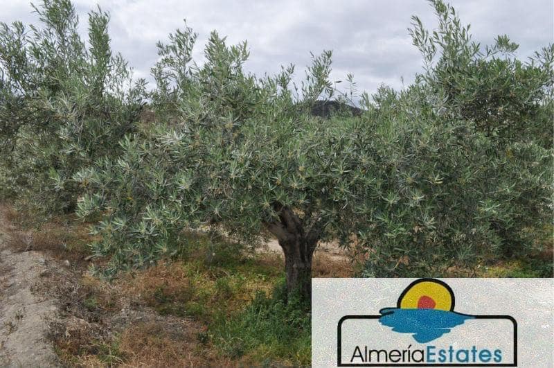 3 bedroom Villa for sale in Cantoria - € 300,000 (Ref: 3211657)