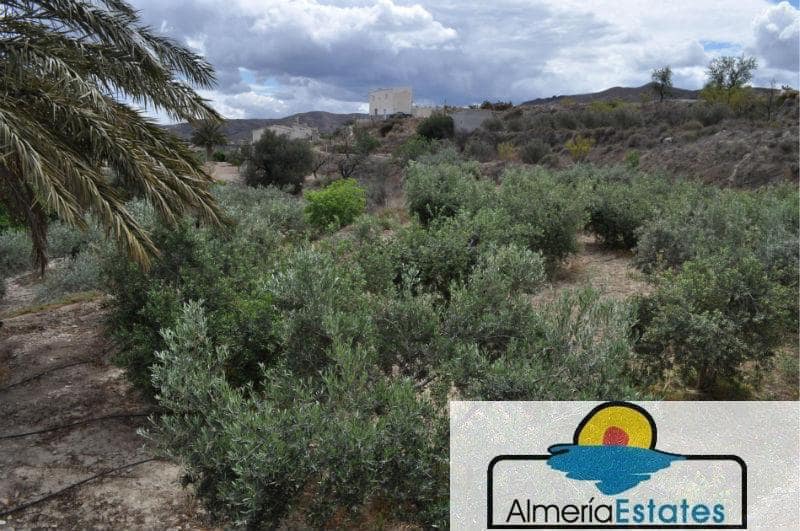 3 bedroom Villa for sale in Cantoria - € 300,000 (Ref: 3211657)