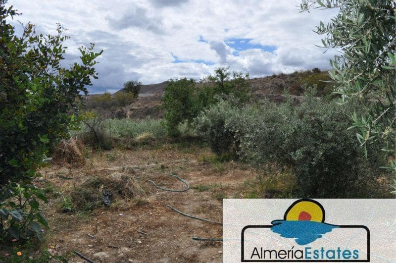 3 bedroom Villa for sale in Cantoria - € 300,000 (Ref: 3211657)