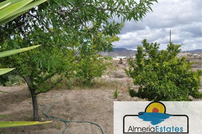 3 bedroom Villa for sale in Cantoria - € 300,000 (Ref: 3211657)