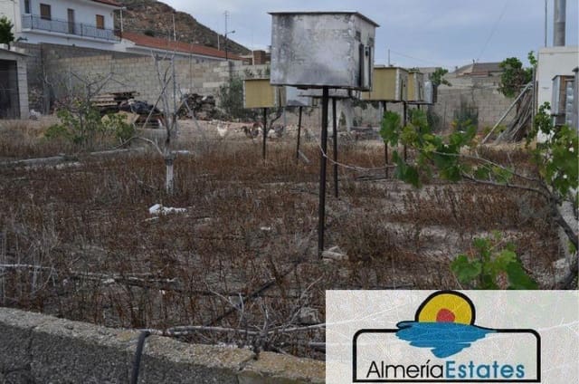 Tontti myytävänä paikassa Almanzora, Cantoria - 38 000 € (Ref: 3216728)