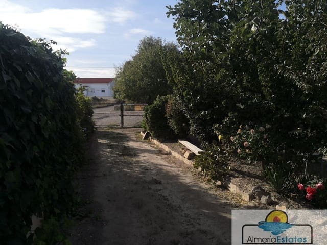 3 sypialnia Willa na sprzedaż w Albox - 155 000 € (Ref: 4830298)