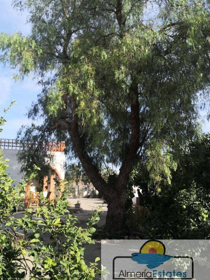 3 slaapkamer Villa te koop in Albox - € 155.000 (Ref: 4830298)