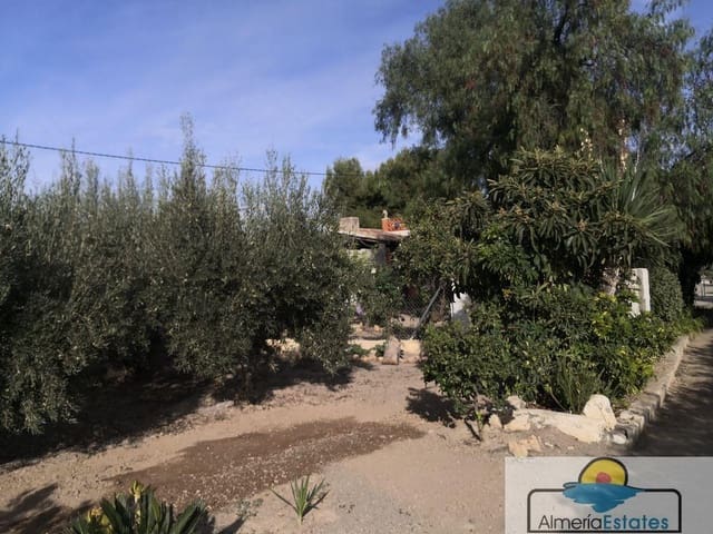 3 sypialnia Willa na sprzedaż w Albox - 155 000 € (Ref: 4830298)