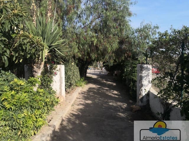 3 sypialnia Willa na sprzedaż w Albox - 155 000 € (Ref: 4830298)