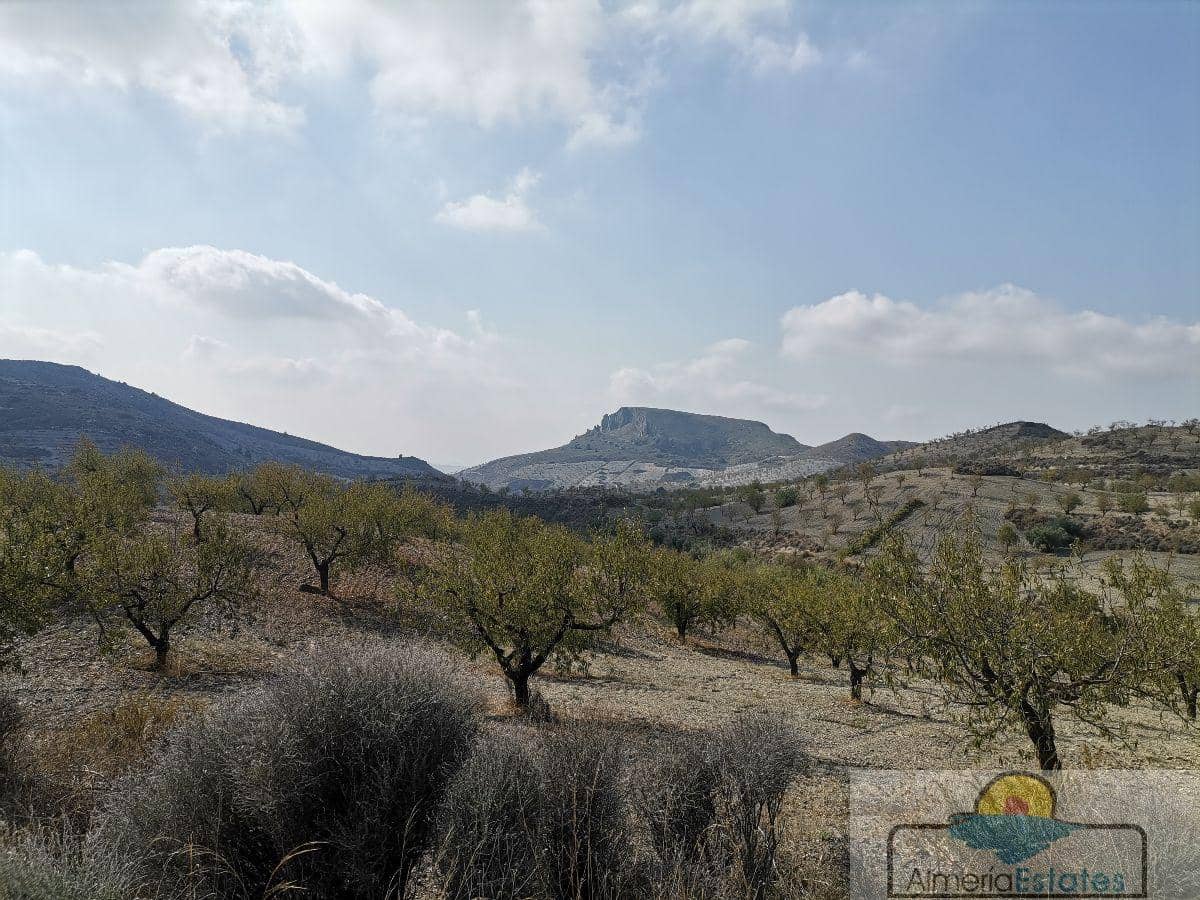 1 sovrum Villa till salu i Albox - 160 000 € (Ref: 6362185)