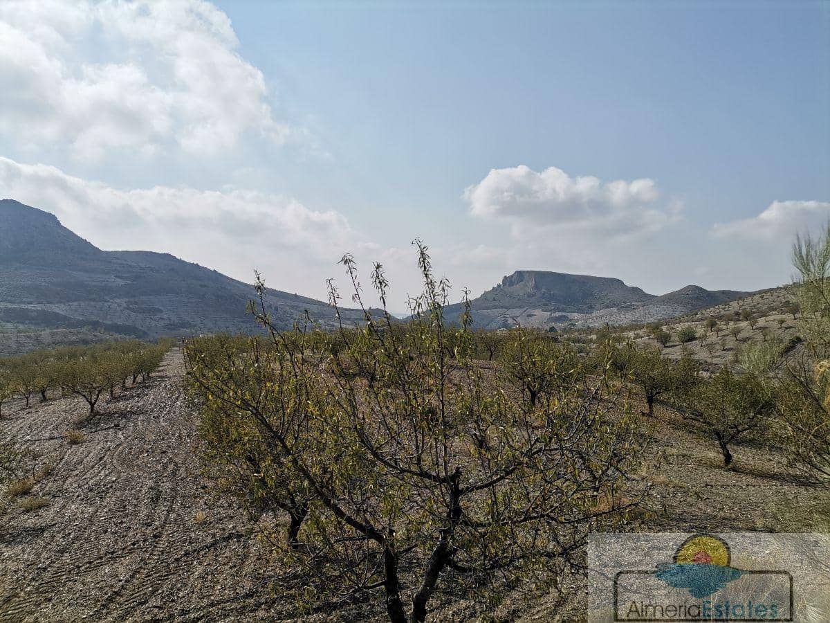 1 sovrum Villa till salu i Albox - 160 000 € (Ref: 6362185)