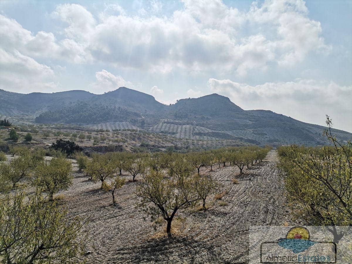 1 sovrum Villa till salu i Albox - 160 000 € (Ref: 6362185)