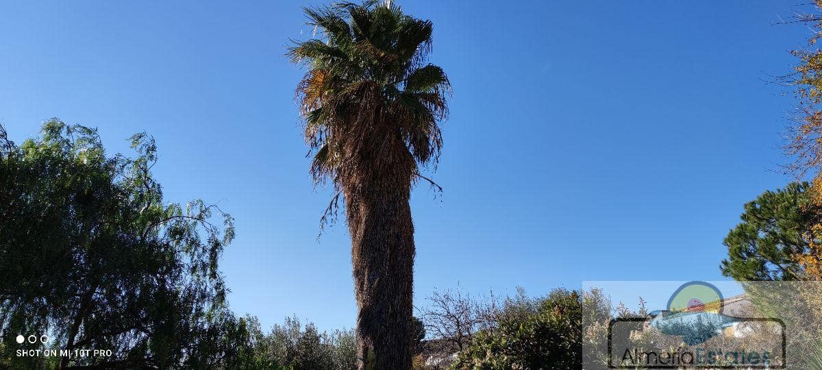 5 soverom Hus til salgs i Albox - € 250 000 (Ref: 6492209)