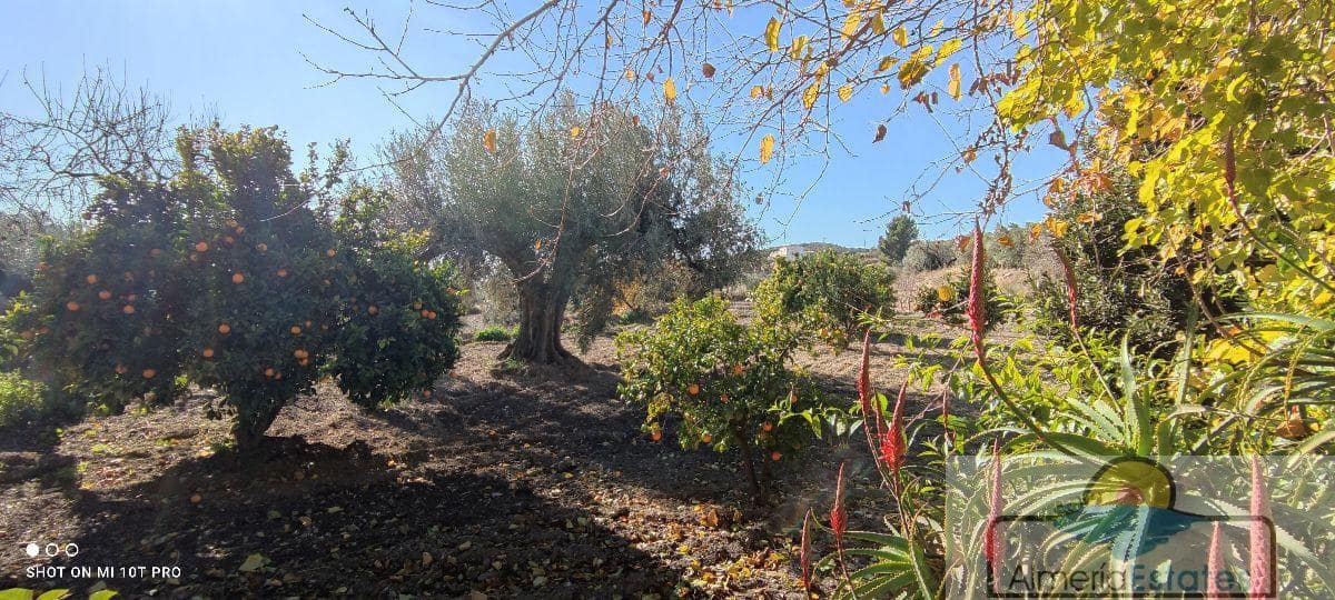 5 soverom Hus til salgs i Albox - € 250 000 (Ref: 6492209)