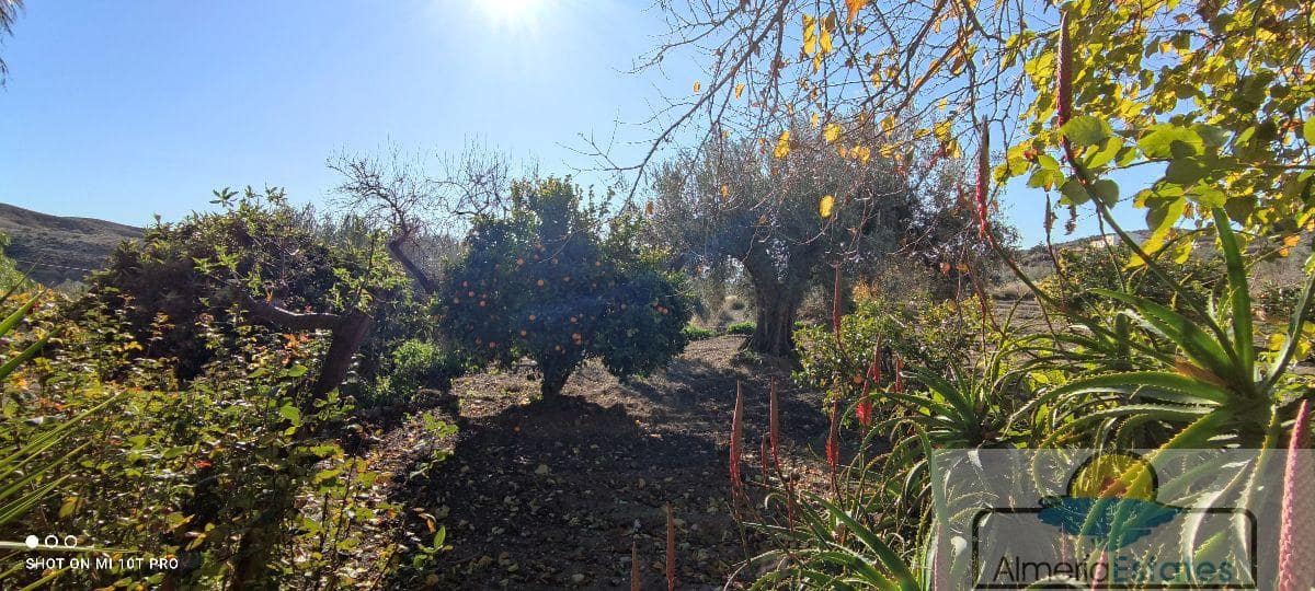 5 soverom Hus til salgs i Albox - € 250 000 (Ref: 6492209)