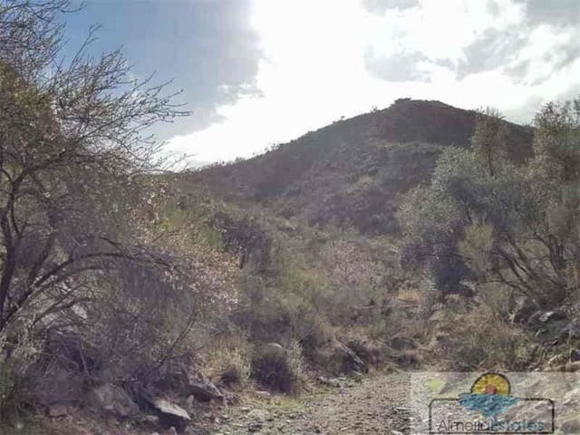 Finca/Casa di Campagna in vendita in Albanchez - 67.000 € (Rif: 6577564)