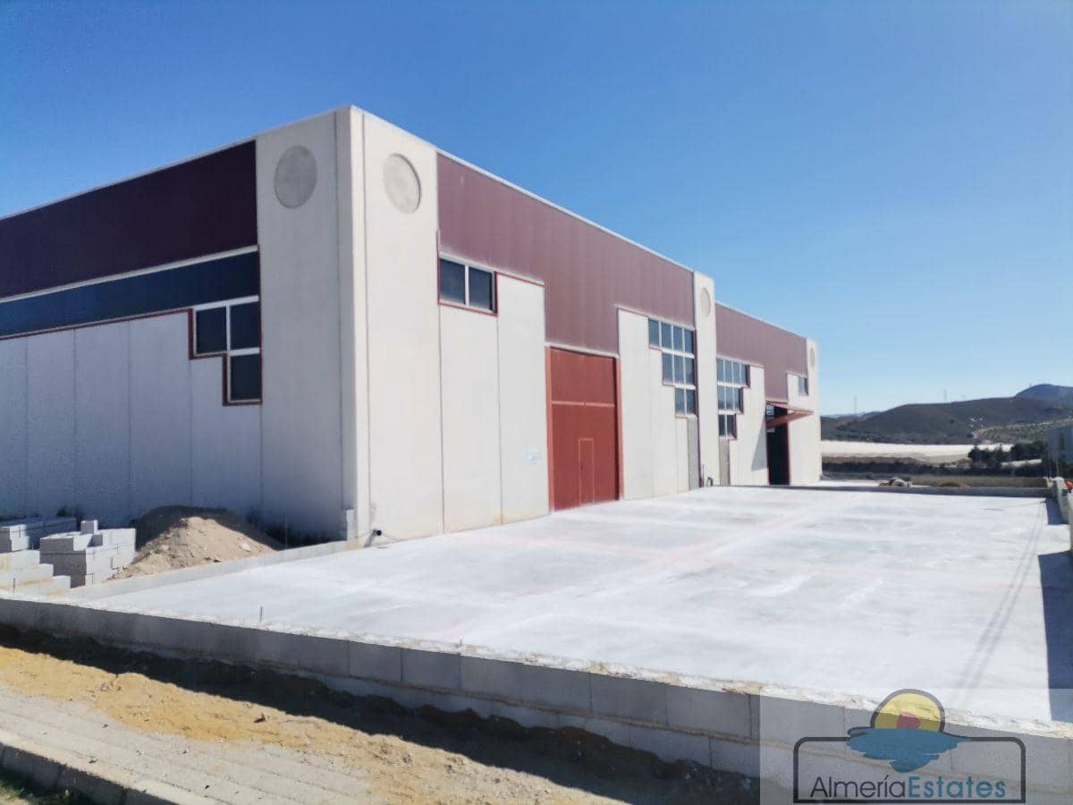 2 Zimmer Gewerbe zu vermieten in Cantoria - 650 € (Ref: 7004817)