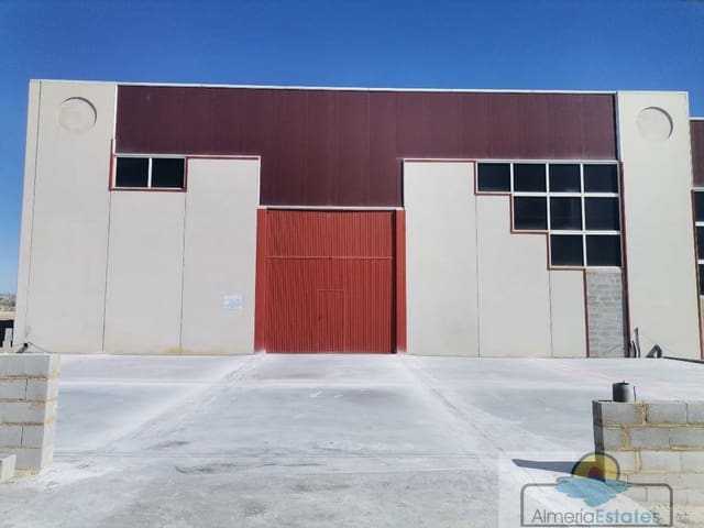 2 bedroom Commercial for rent in Cantoria - € 650 (Ref: 7004817)