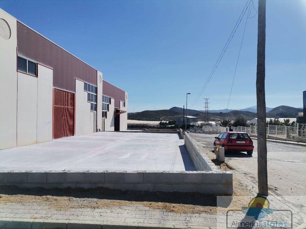 2 Zimmer Gewerbe zu vermieten in Cantoria - 650 € (Ref: 7004817)