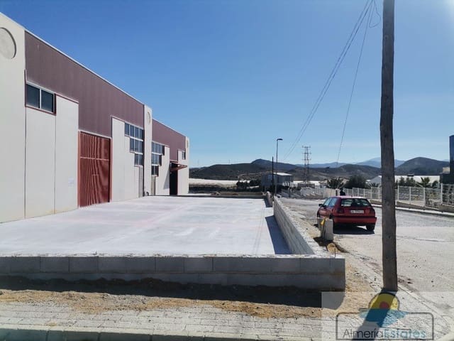 2 bedroom Commercial for rent in Cantoria - € 650 (Ref: 7004817)