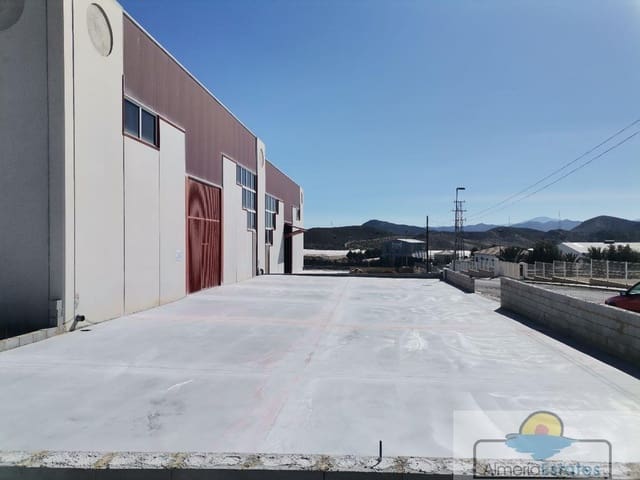 2 bedroom Commercial for rent in Cantoria - € 650 (Ref: 7004817)