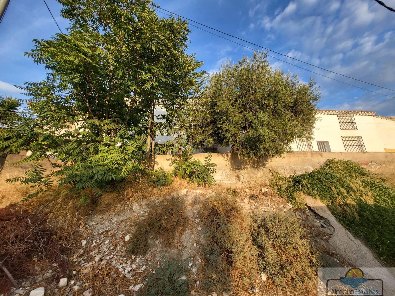 7 soveværelse Villa til salg i Albox - € 139.000 (Ref: 7165853)