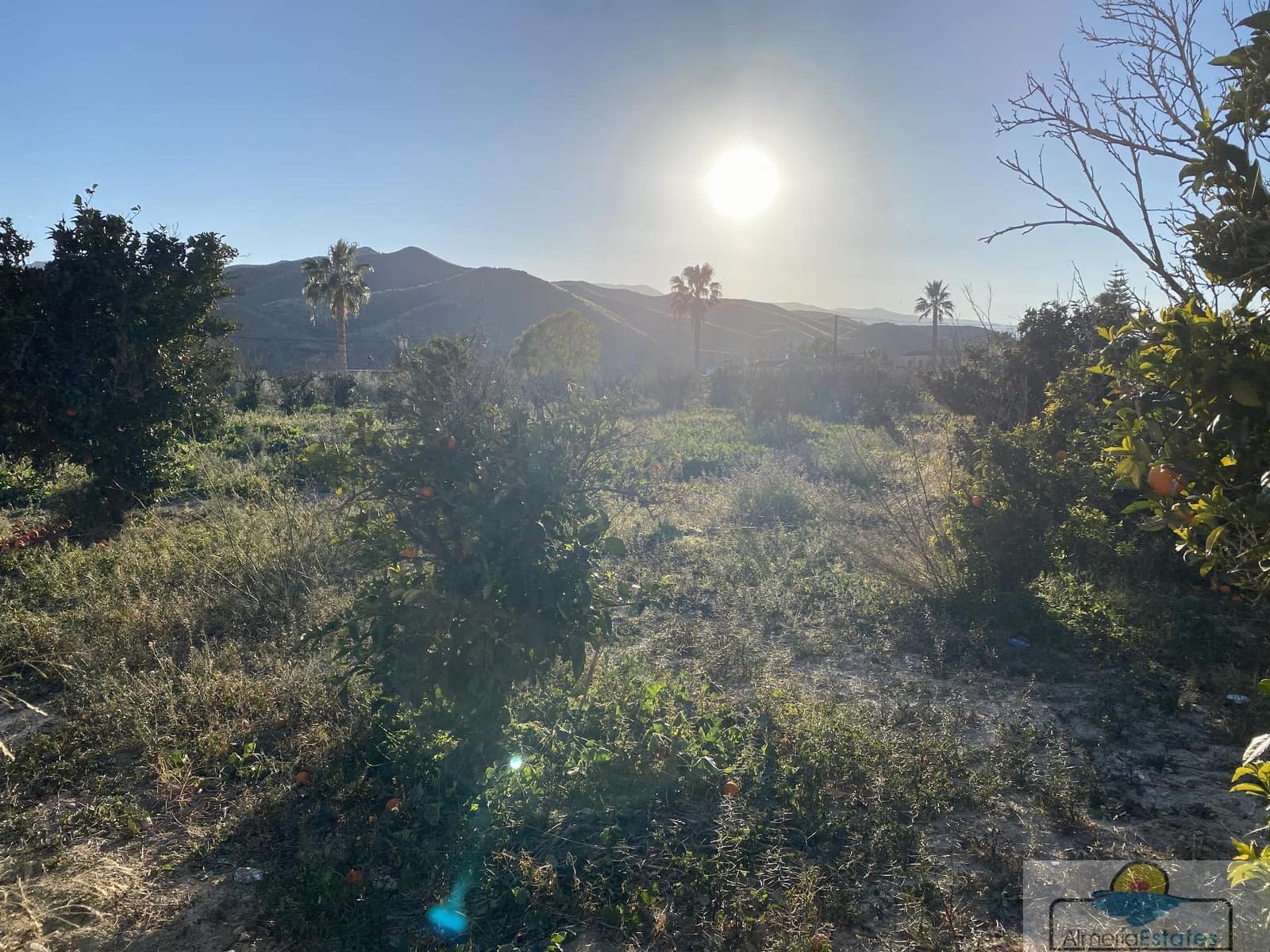 Działka budowlana na sprzedaż w Fines - 90 000 € (Ref: 7394068)