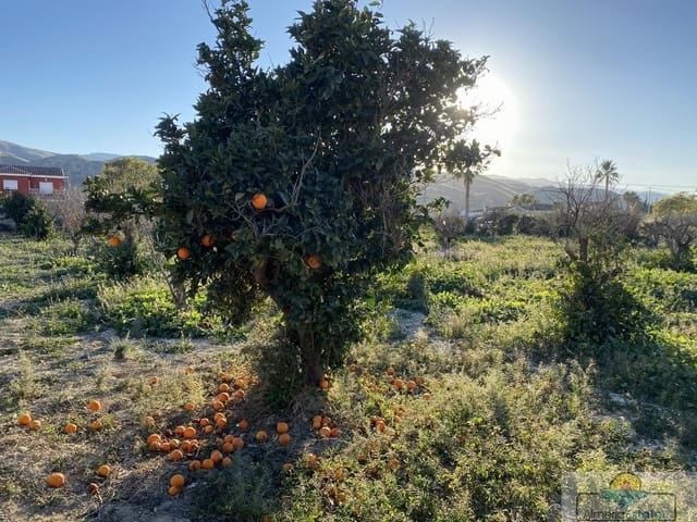 Building Plot for sale in Fines - € 90,000 (Ref: 7394068)