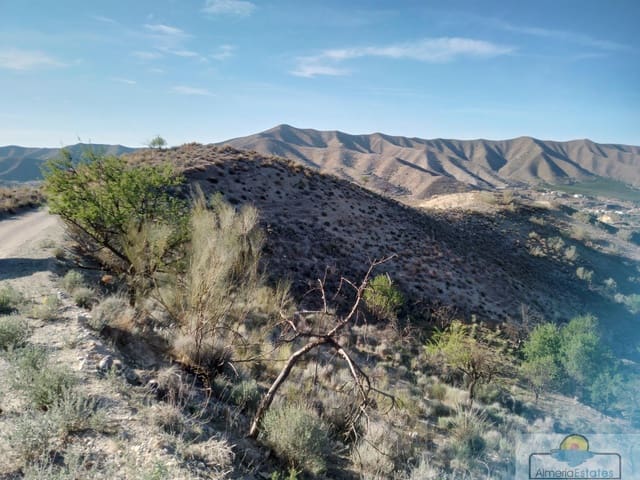 Finca/Hus på landet till salu i Cantoria - 5 000 € (Ref: 7490542)