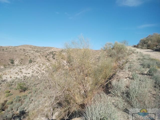 Finca/Hus på landet till salu i Cantoria - 5 000 € (Ref: 7490542)