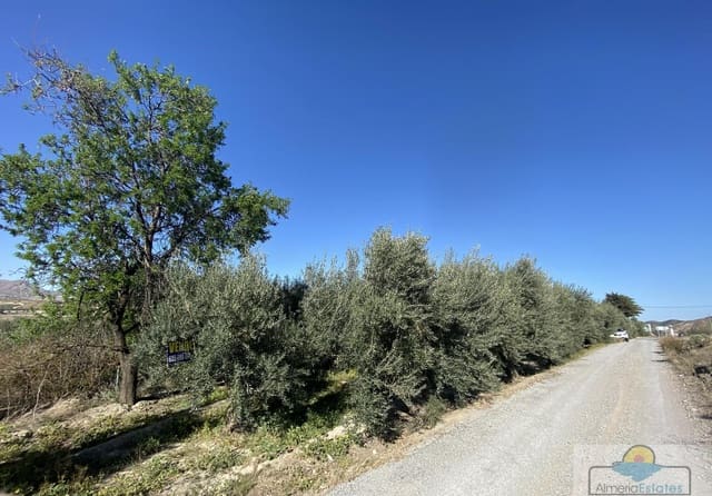 Building Plot for sale in Tíjola - € 18,000 (Ref: 7517809)