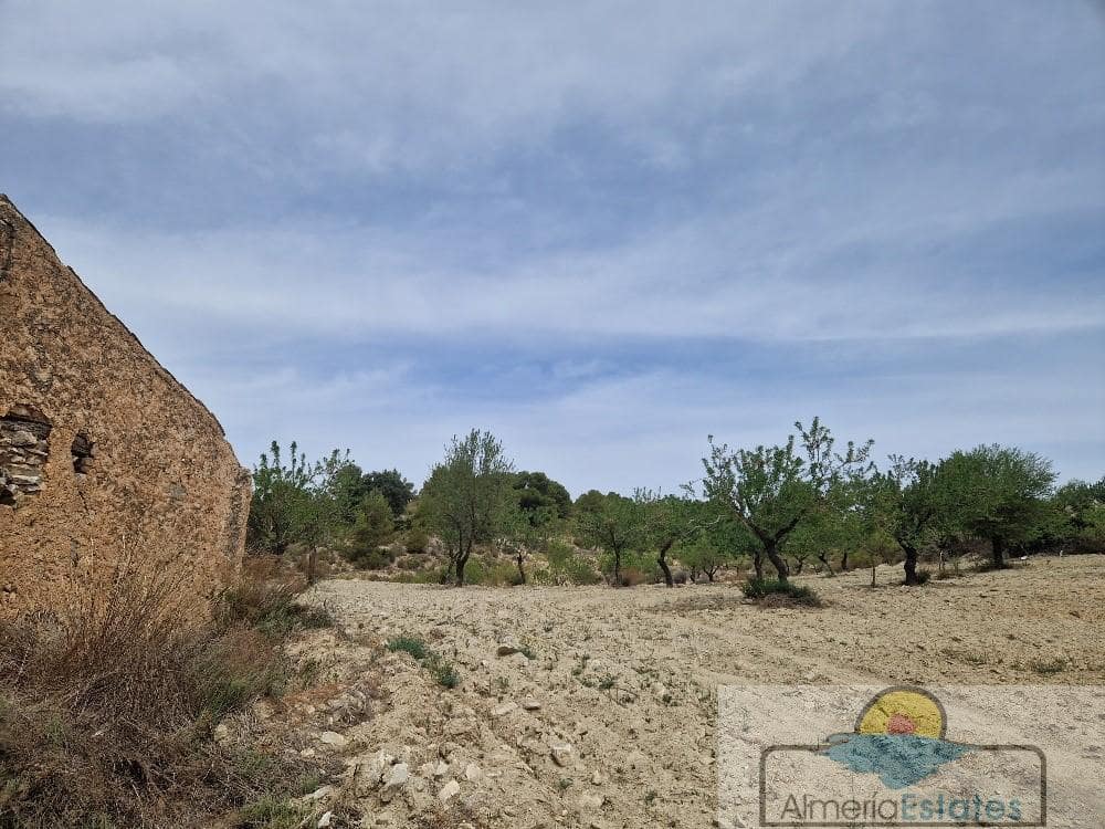 Finca/Country House for sale in Oria - € 55,000 (Ref: 7601071)