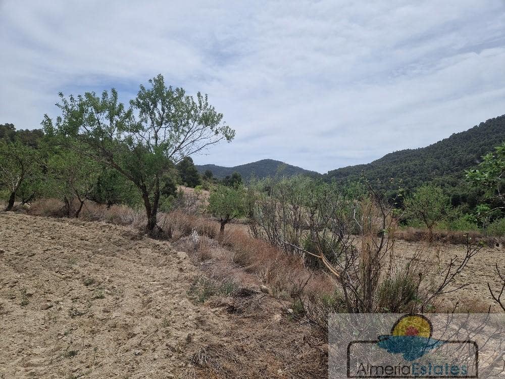 Finca/Country House for sale in Oria - € 55,000 (Ref: 7601071)