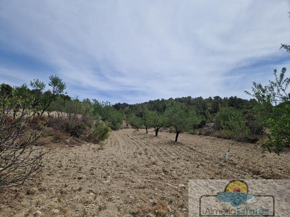 Finca/Country House for sale in Oria - € 55,000 (Ref: 7601071)