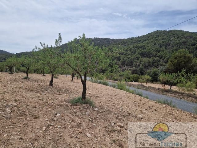 Finca/Casa di Campagna in vendita in Oria - 55.000 € (Rif: 7601071)