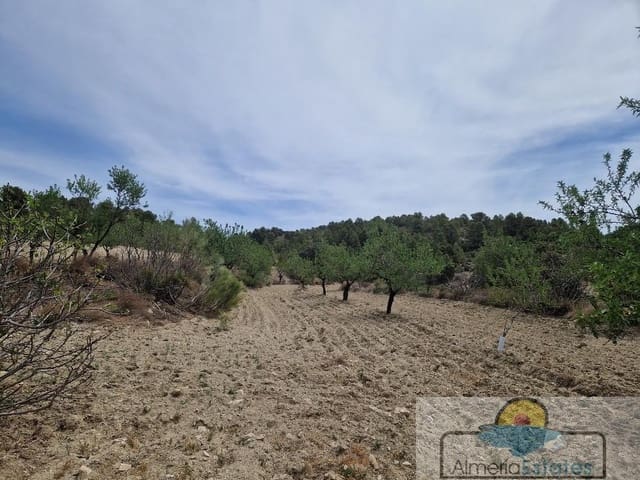 Finca/Casa di Campagna in vendita in Oria - 55.000 € (Rif: 7601071)