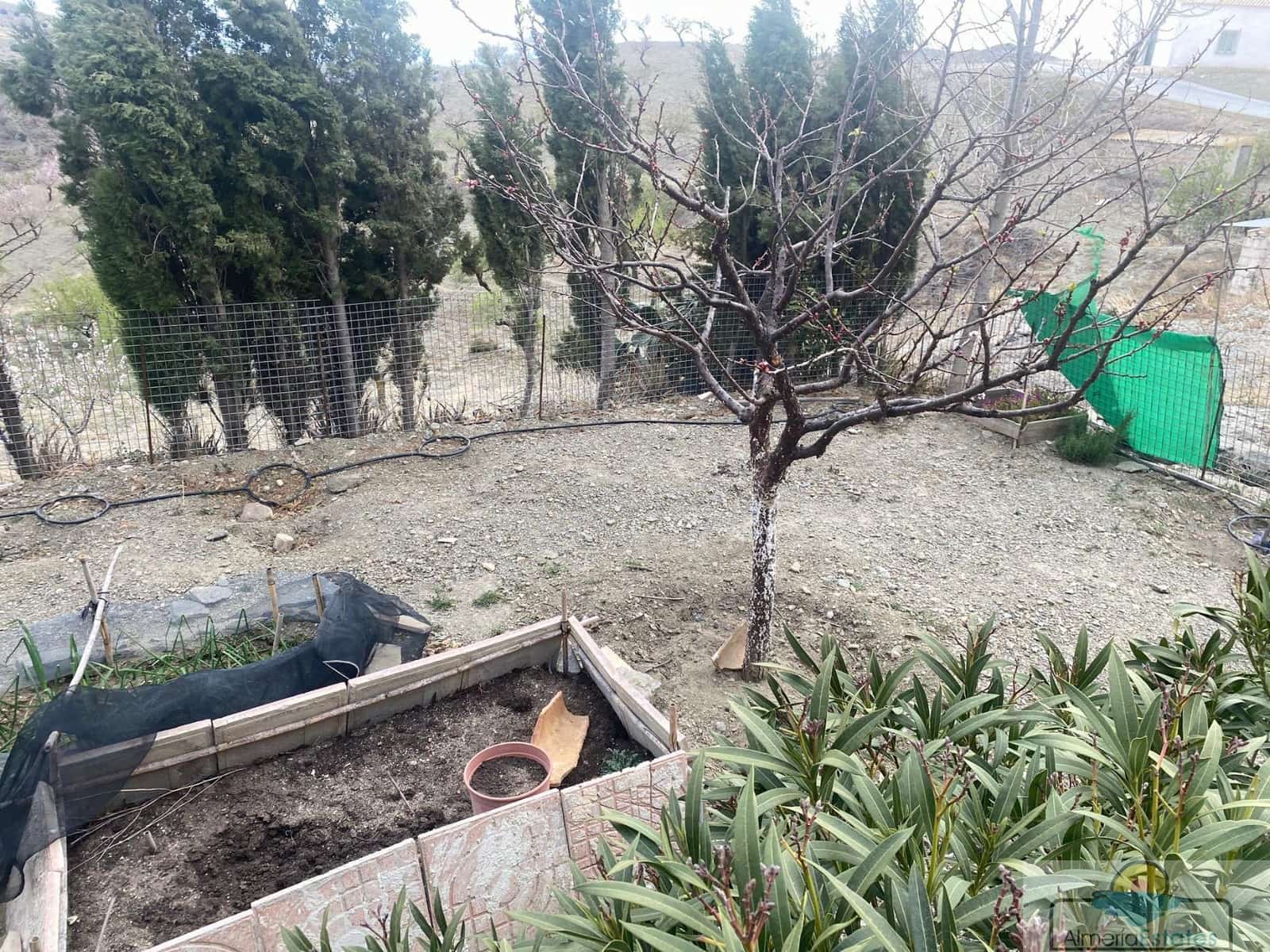 2 bedroom Townhouse for rent in Velez-Rubio - € 700 (Ref: 8234356)