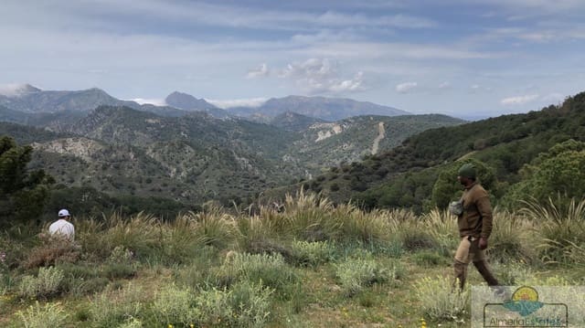 Tontti myytävänä paikassa Almanzora, Cantoria - 35 000 € (Ref: 8290079)