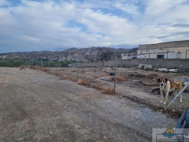 Tontti myytävänä paikassa Almanzora, Cantoria - 35 000 € (Ref: 8290079)