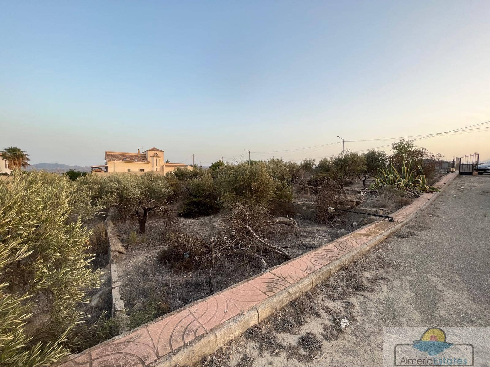 5 sypialnia Willa na sprzedaż w Albox - 220 000 € (Ref: 8890806)